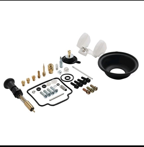 Carburetor rebuild repair kit - rebuild,