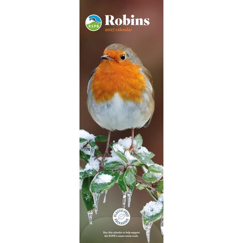 Carousel worldwide robins - worldwide, 2027