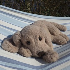 PMS - Golden Retriever - Huge