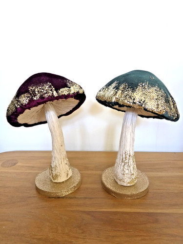 Mushrooms pair of - pair,
