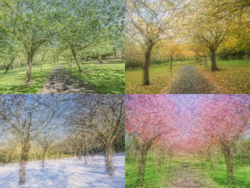 Four seasons avenue 12 - seasons, 16