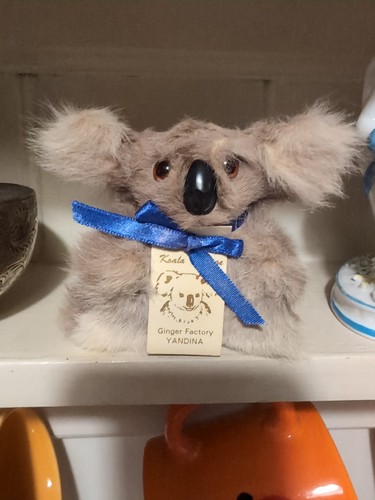 Koala souvenir kangaroo - koala, skin