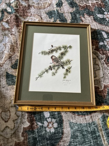 Redpoll bird print artist - ,