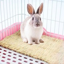 Pet Rabbit Grass Mat Guinea