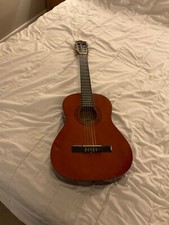 ashton acoustic guitar