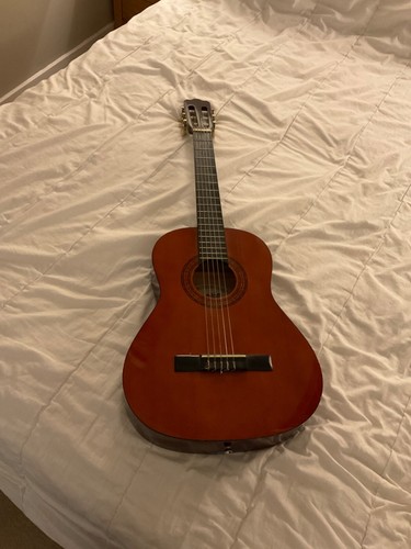 Ashton acoustic guitar - acoustic,