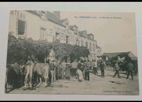 Antique guerande france cattle - antique,