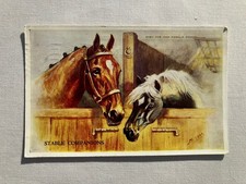 Mabel Gear Horse Series Signed