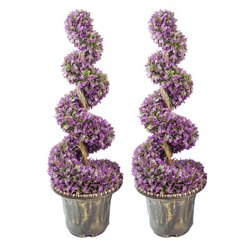 Pair 90cm purple - purple, spiral