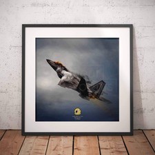 F22 raptor jet military - raptor,