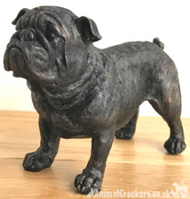 20cm bronze effect English Bulldog ornament figurine Bull Dog lover gift, boxed