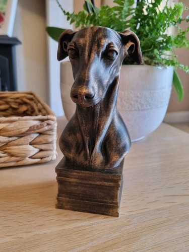 Greyhound decorative bust - greyhound,