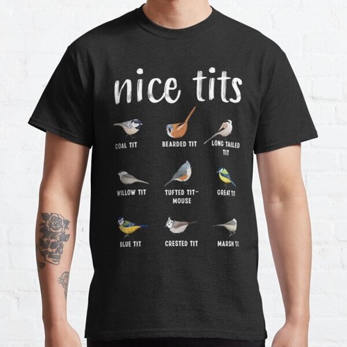 Nice birds birdwatcher - nice, ti