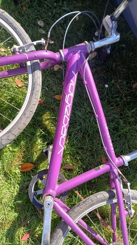 Kids ridgeback bike great - kids, bike.