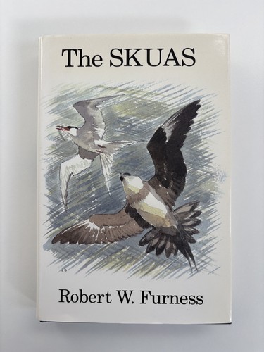 The skuas robert - by,