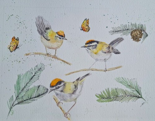 Watercolour original goldcrest - watercolour,