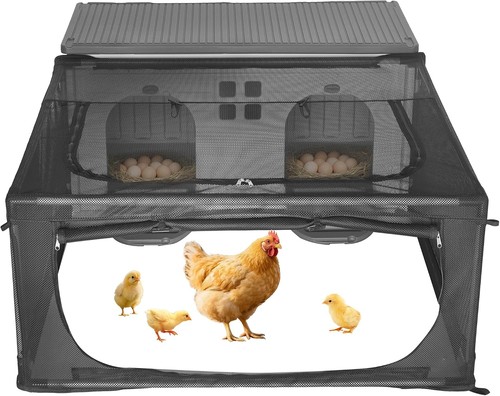 Chicken coop run plastic - chicken,