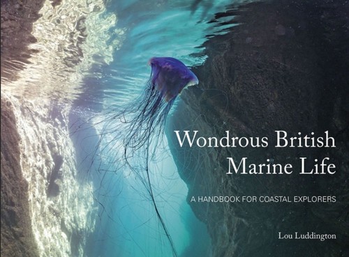British marine life - life, lou
