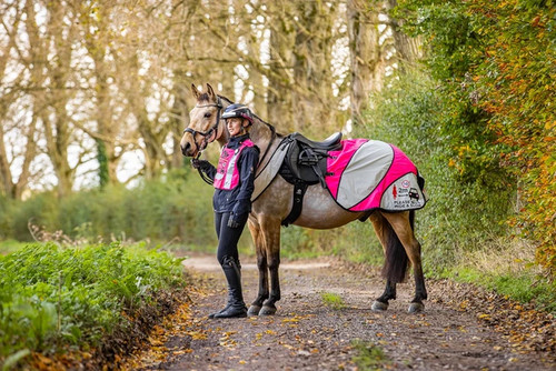 Evoequine viz pink 2 - hi-viz,