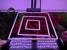 3-9” Aquarium Floating Plant