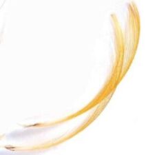 Veniard Golden Pheasant