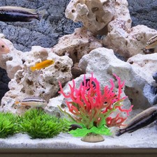 Aquarium Coral Decoration
