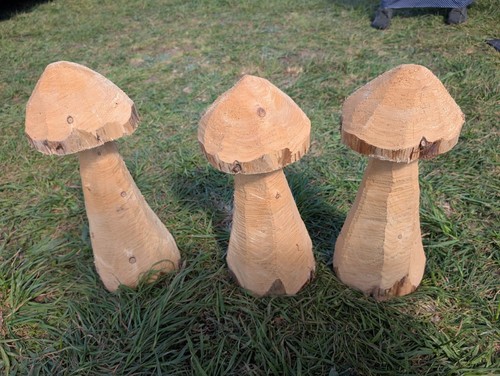 Carved wooden mushrooms - carved,
