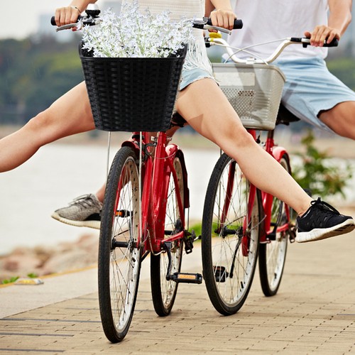 Ladies bike basket - basket, detachable