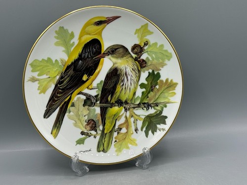 Wwf golden oriole pirol bird - golden,
