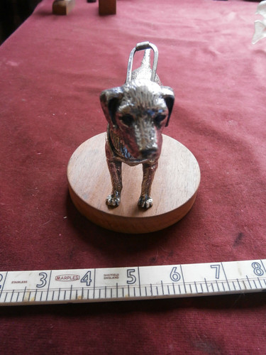 Vintage guide dog - , car