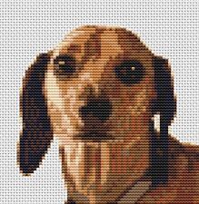 Dachshund Sausage dog Counted