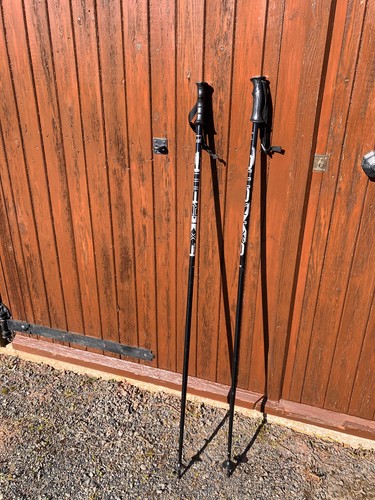 Ski poles pair fizan - ski,