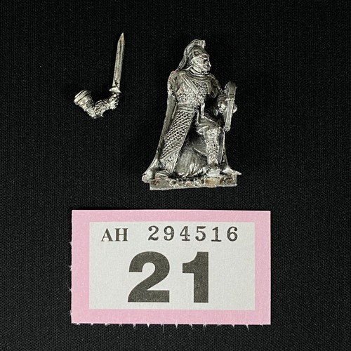 Rohan royal guard - royal, middle-earth