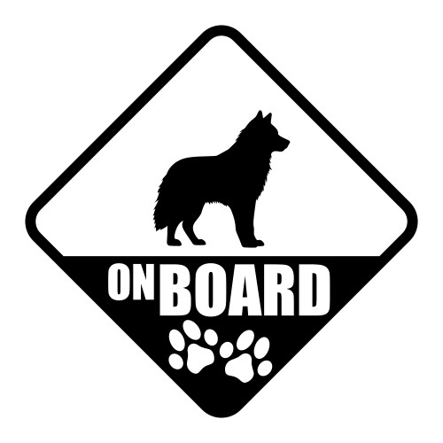 Alaskan malamute board paw - on,