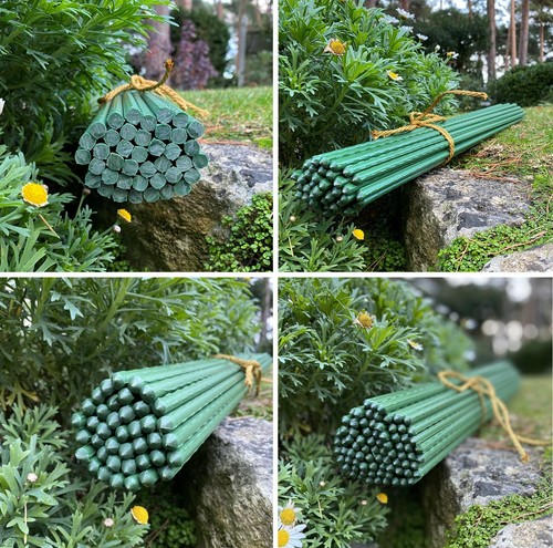 Plant support stakes metal - support,