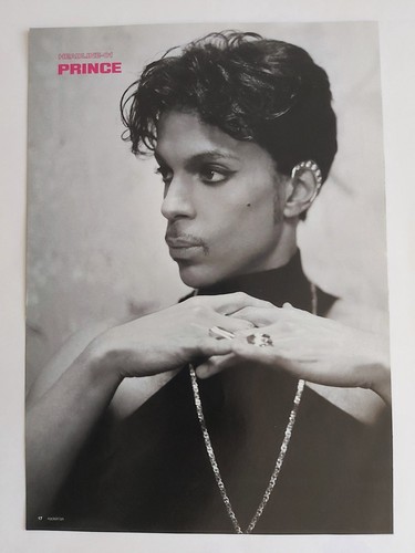 Prince photo pin mini - prince,