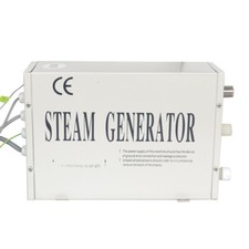 3KW Steam Generator 220V CE