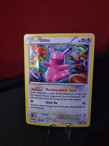2015 ditto xy40 cosmos - cosmos, holo