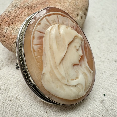 Very early victorian shell - early,