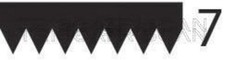 V-Ribbed Belt Black TRISCAN