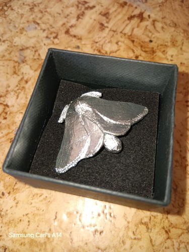 Moth pewter badge - badge, british