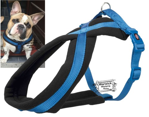 Comfort dog harness soft - harness,