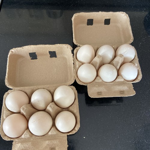 Free range duck - , eggs