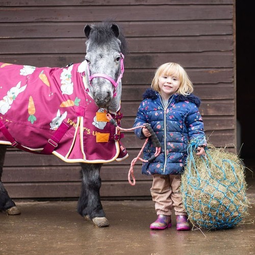 Small haynet shetland pony net - pony,