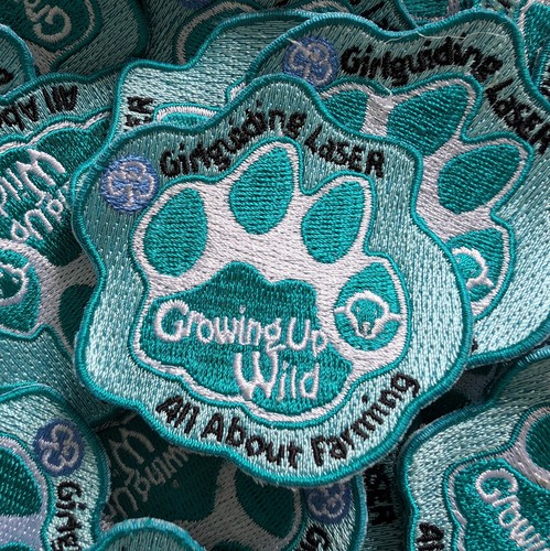 Girlguiding laser growing - laser, up