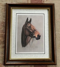 Arkle Racehorse Framed