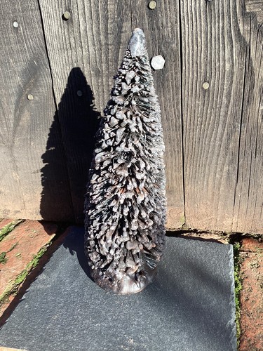 Gorgeous bottle brush dipped - gorgeous,