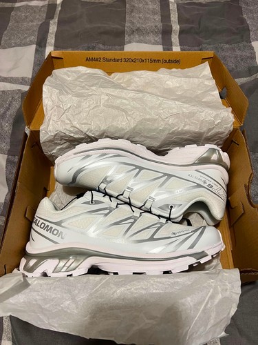 Solomon white lunar rock - xt-6,