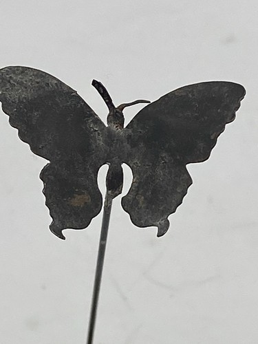 Fabulous antique butterfly hat - butterfly,