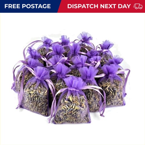 Delicate lilac lavender - lilac,